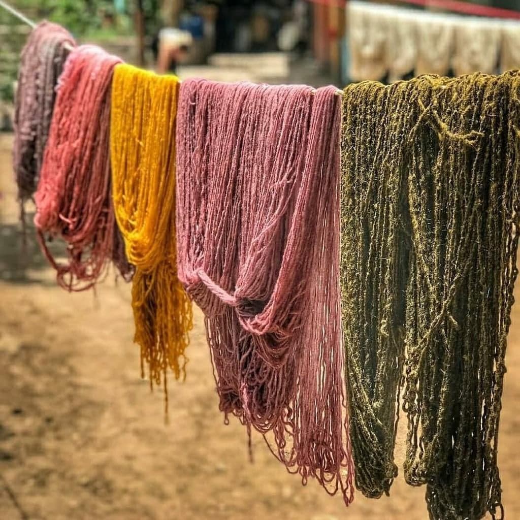 Teotitlan Del Valle Women's Weaving Cooperative – Noma
